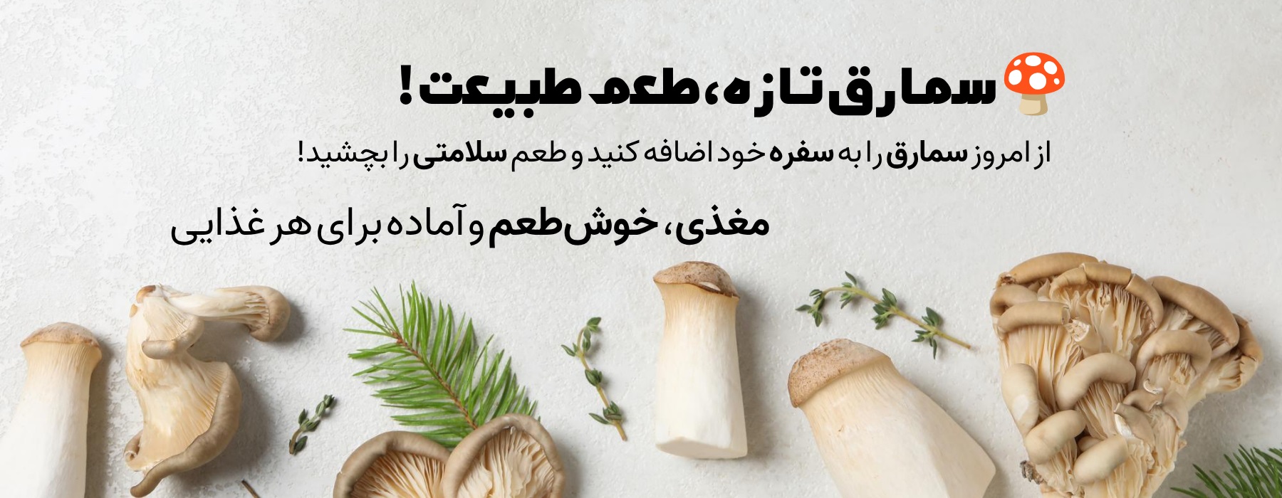 Advertisement Image