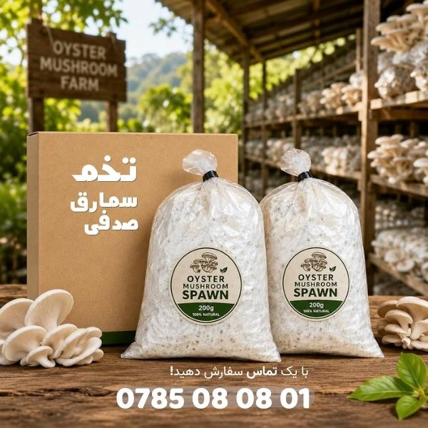 تبلیغ