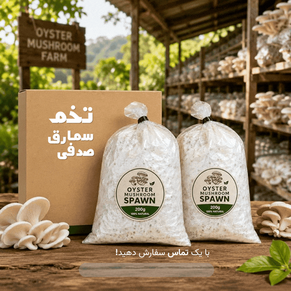 تبلیغ